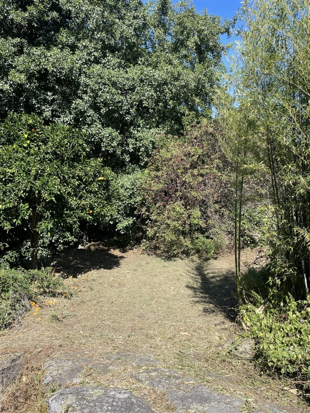 Moradia T3 para Venda em Louriçal do Campo Foto 19