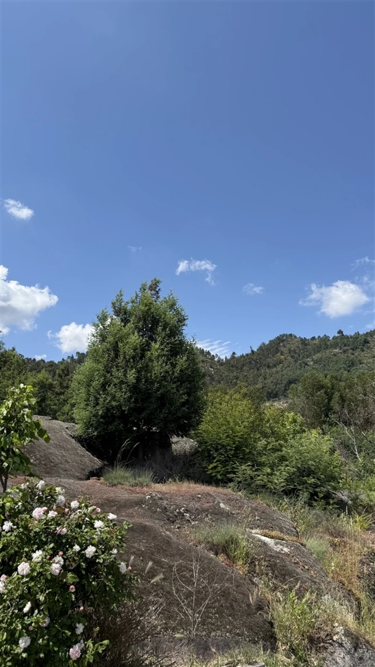 Moradia T3 para Venda em Louriçal do Campo Foto 34