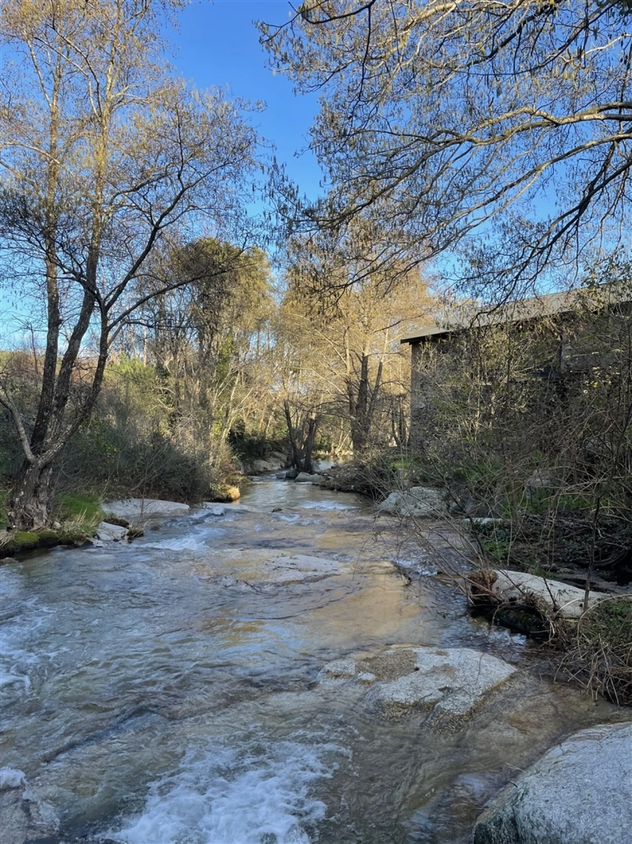 Moradia T3 para Venda em Louriçal do Campo Foto 53