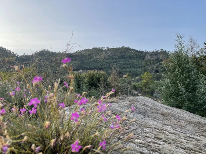 Moradia T3 para Venda em Louriçal do Campo Foto 57