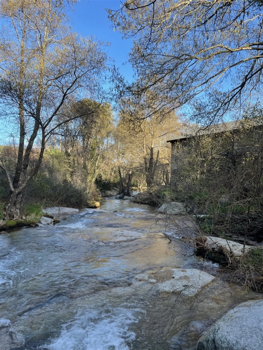 Moradia T3 para Venda em Louriçal do Campo Foto 53