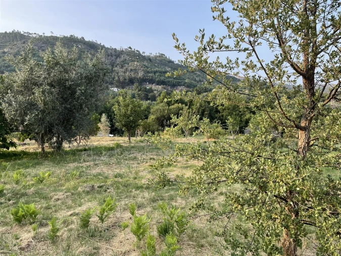 Moradia T3 para Venda em Louriçal do Campo Foto 25