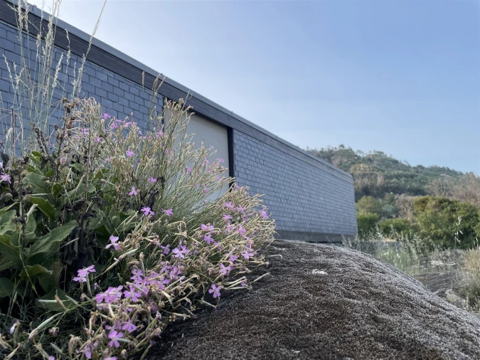 Moradia T3 para Venda em Louriçal do Campo Foto 56