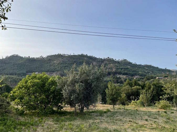 Moradia T3 para Venda em Louriçal do Campo Foto 24