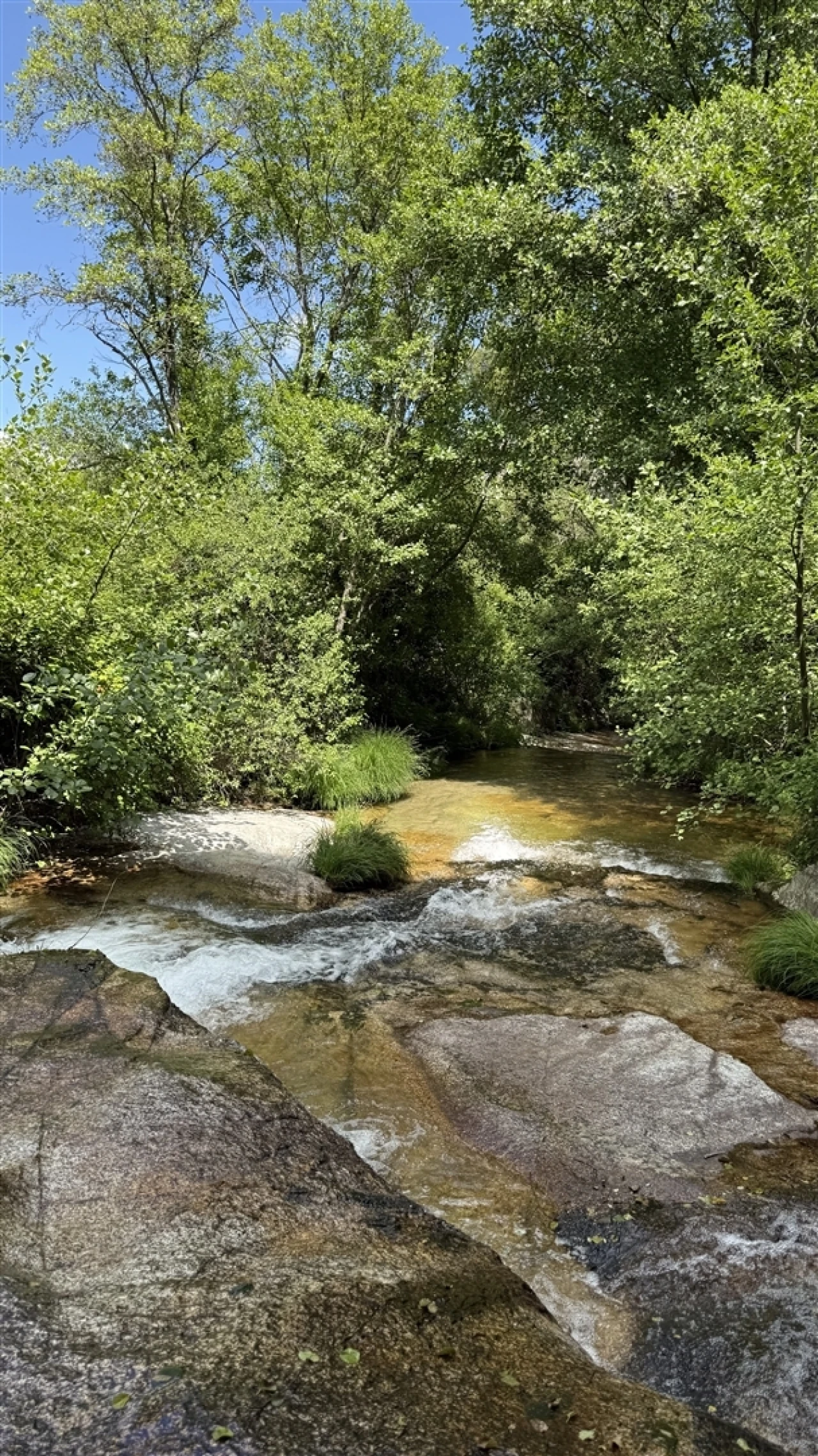 Moradia T3 para Venda em Louriçal do Campo Foto 59