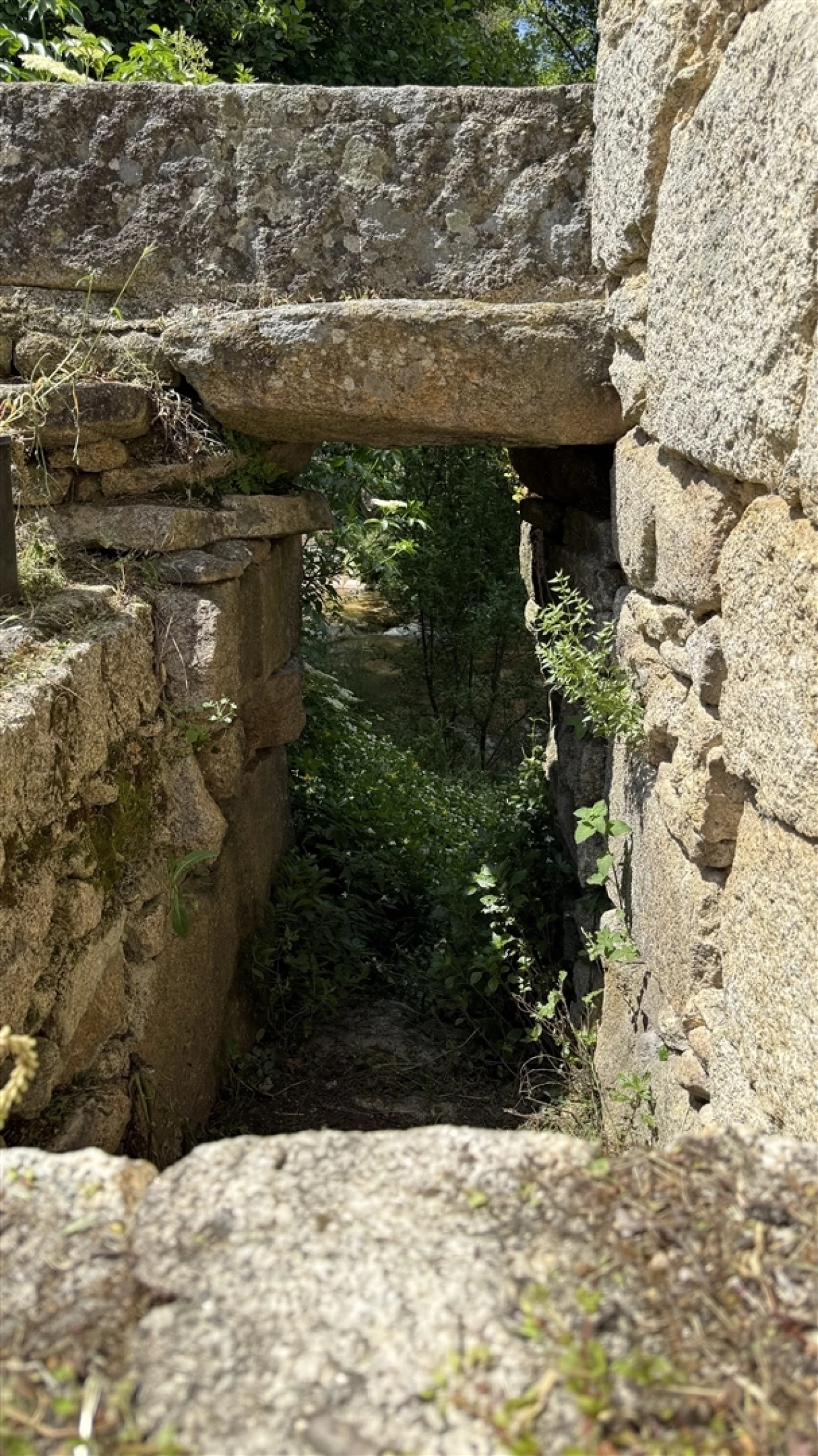 Moradia T3 para Venda em Louriçal do Campo Foto 13