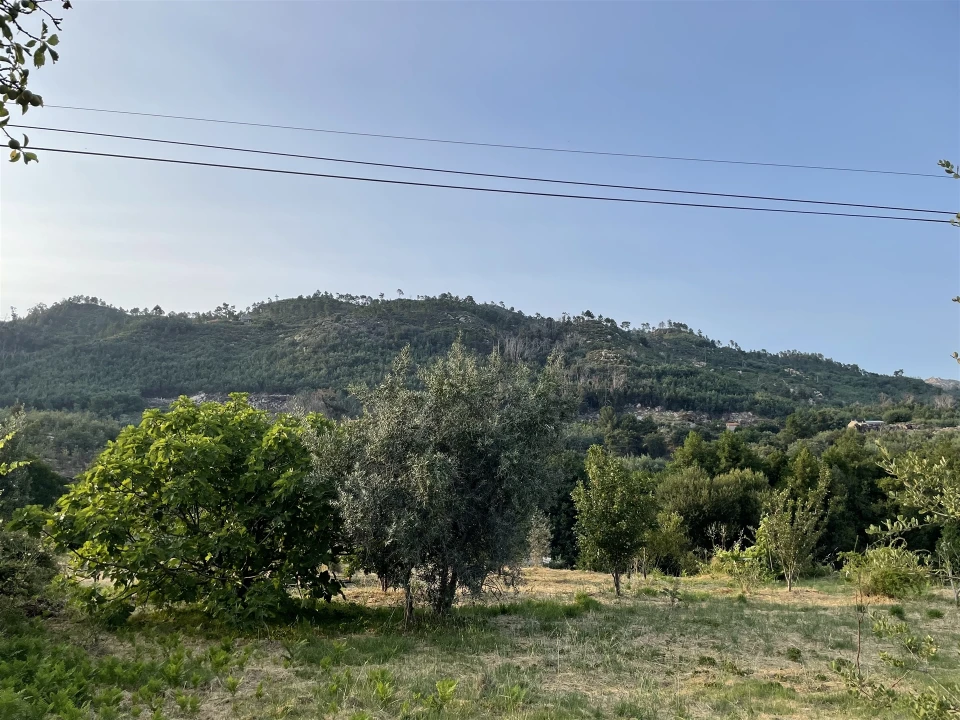 Moradia T3 para Venda em Louriçal do Campo Foto 24