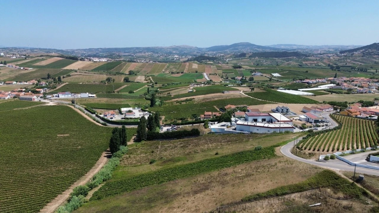 Terreno para Venda em Freiria Foto 1