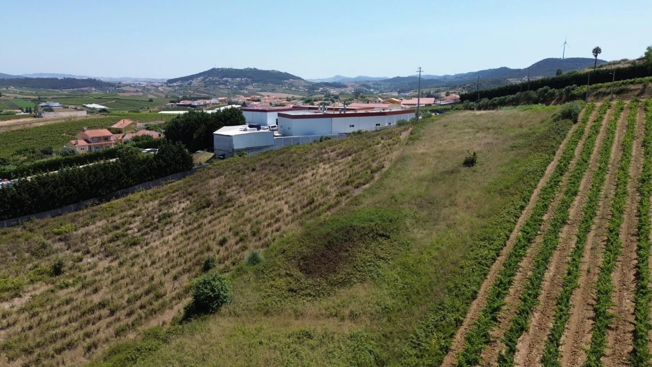 Terreno para Venda em Freiria Foto 3