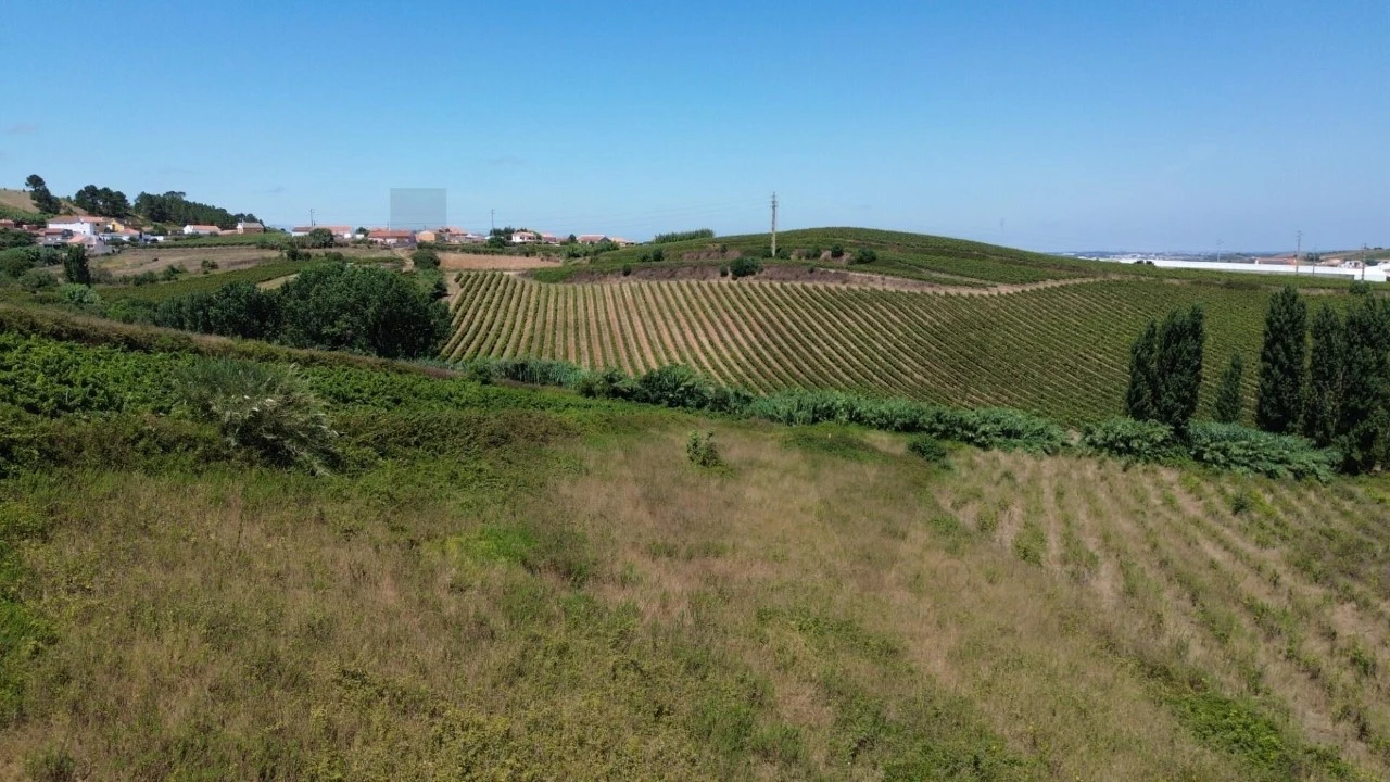 Terreno para Venda em Freiria Foto 7