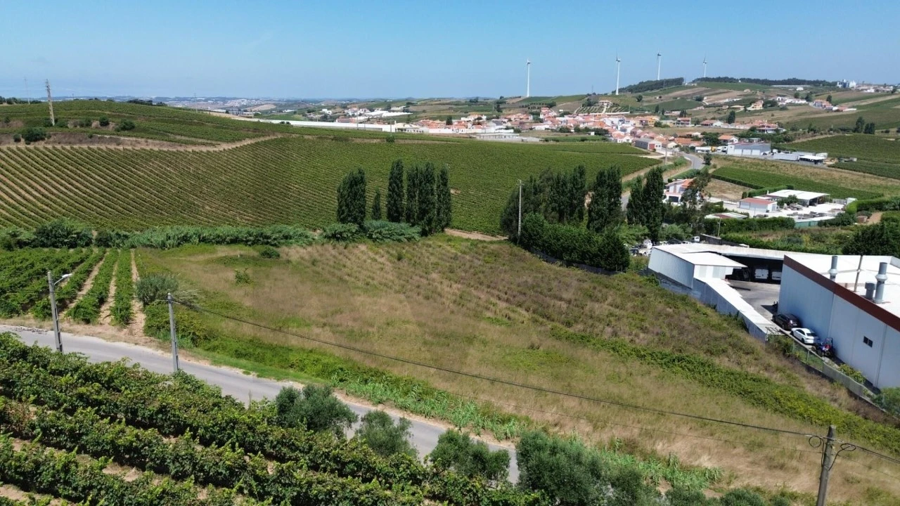 Terreno para Venda em Freiria Foto 8
