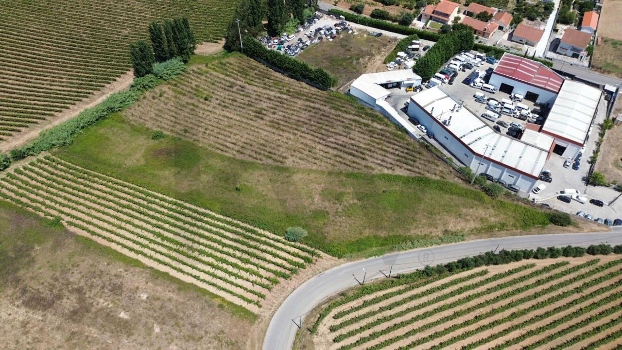 Terreno para Venda em Freiria Foto 9