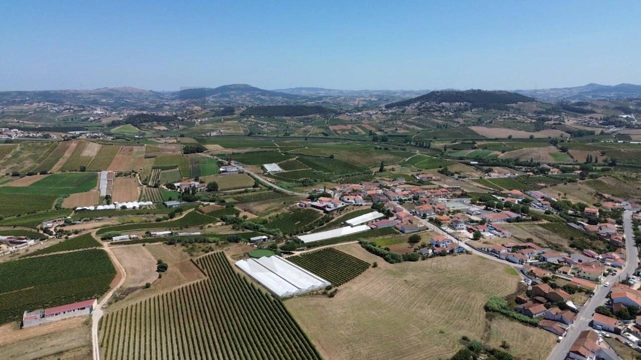 Terreno para Venda em Freiria Foto 12