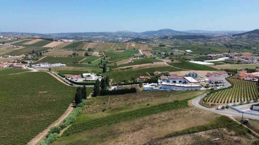 Terreno para Venda em Freiria Foto 1