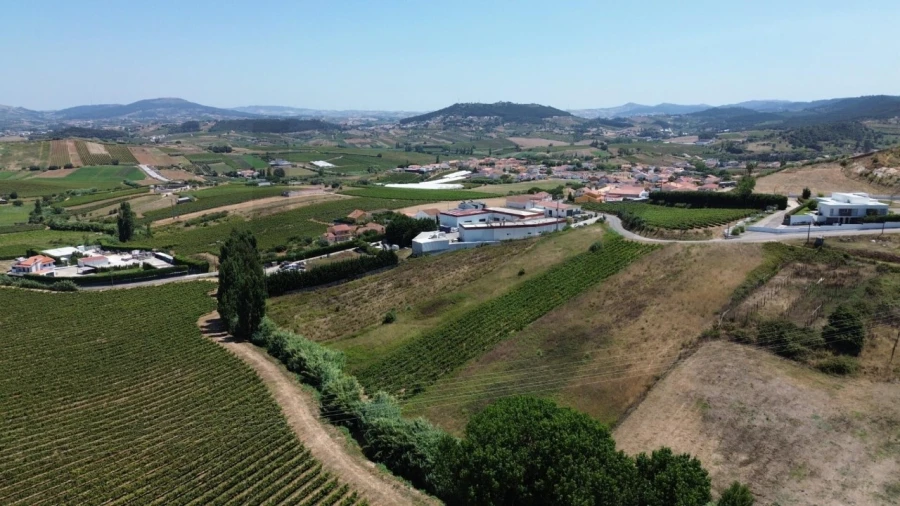 Terreno para Venda em Freiria Foto 2