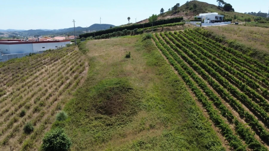 Terreno para Venda em Freiria Foto 4