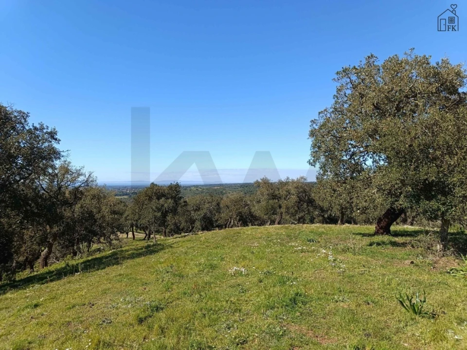 Quinta T3 para Venda em Grândola e Santa Margarida da Serra Foto 10