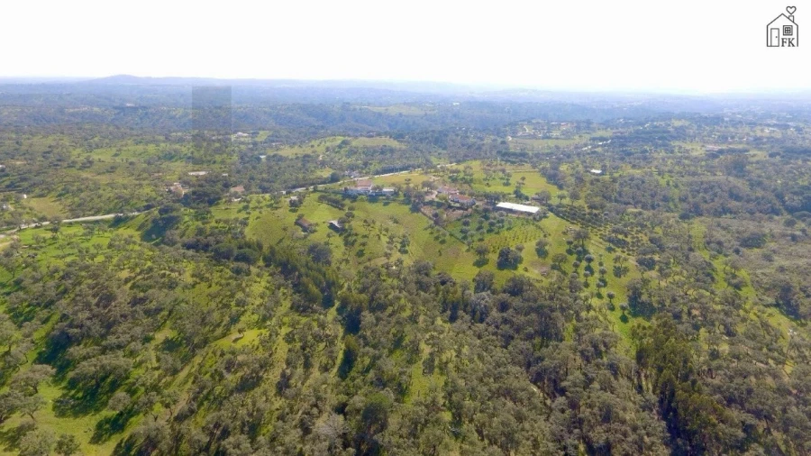Quinta T3 para Venda em Grândola e Santa Margarida da Serra Foto 7
