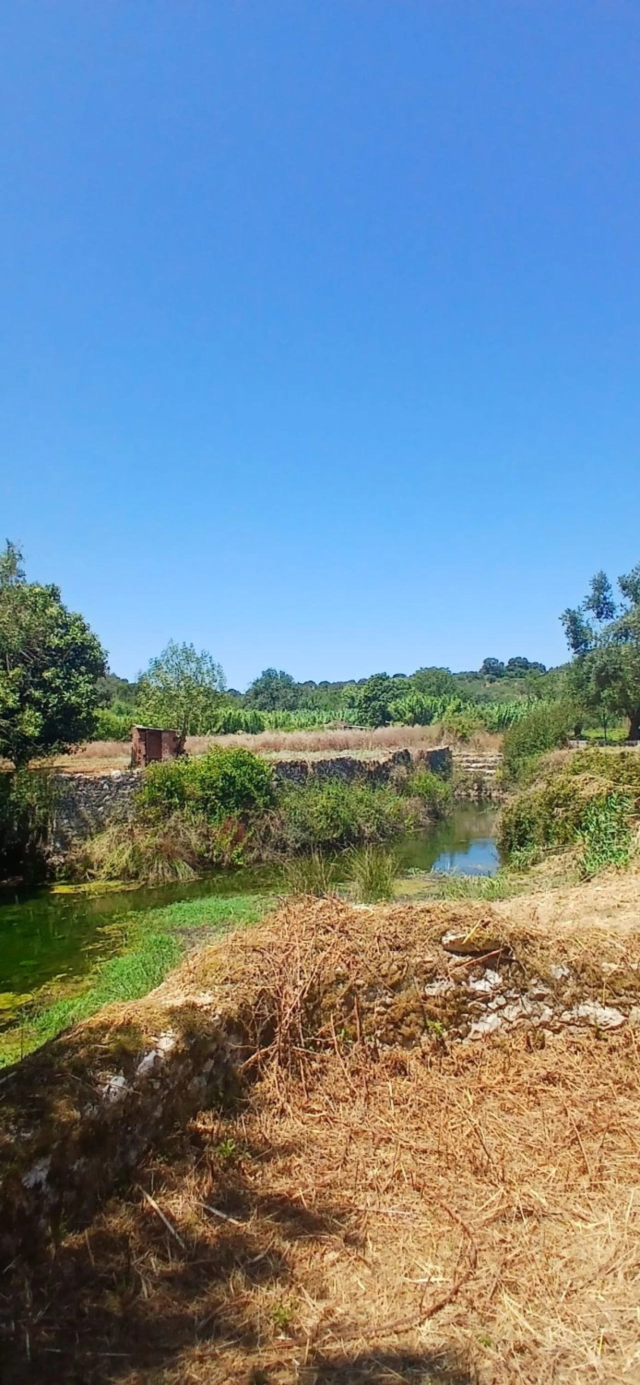 Terreno para Venda em Assentiz Foto 8