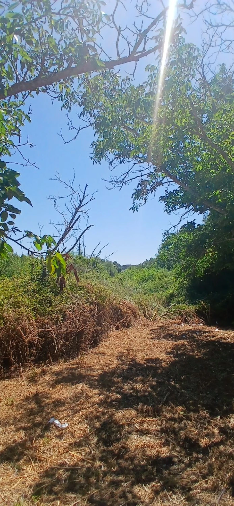 Terreno para Venda em Assentiz Foto 6