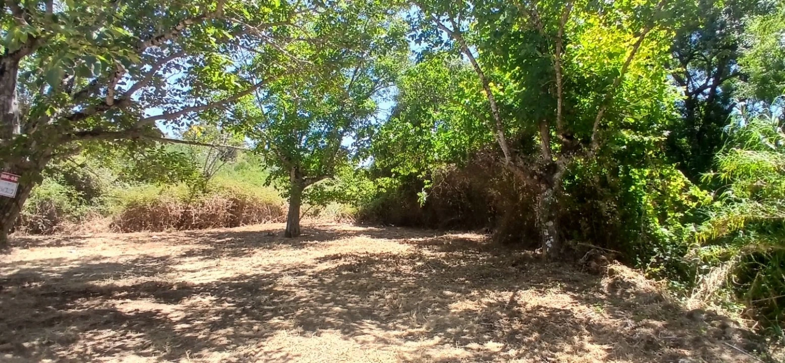 Terreno para Venda em Assentiz Foto 4
