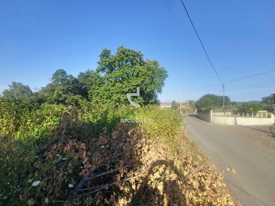 Terreno para Venda em São Julião e Silva Foto 10