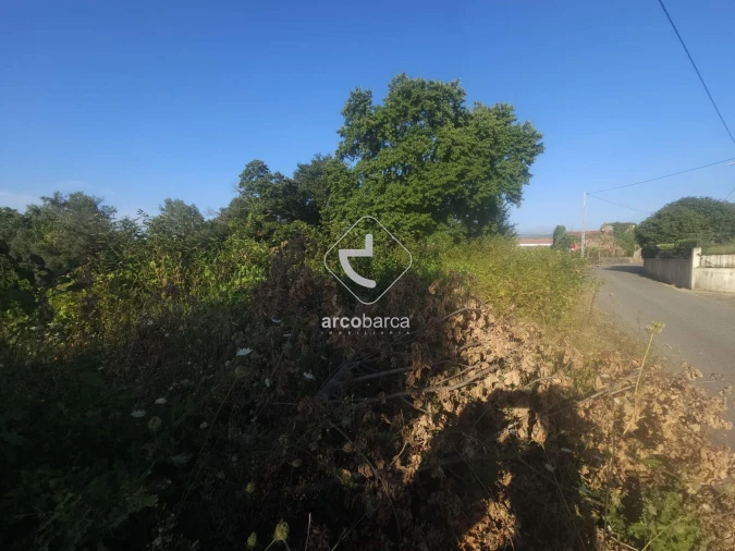 Terreno para Venda em São Julião e Silva Foto 11