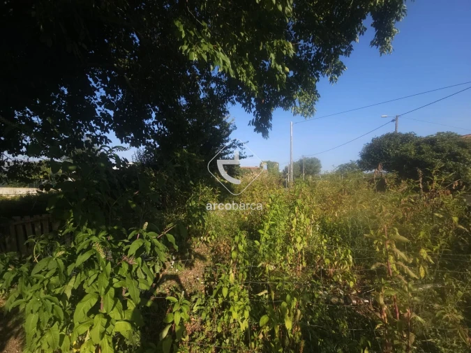 Terreno para Venda em São Julião e Silva Foto 21