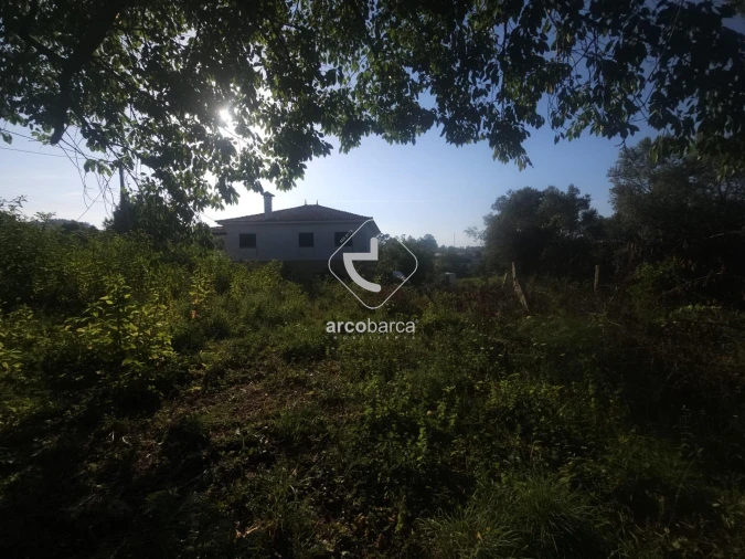 Terreno para Venda em São Julião e Silva Foto 17