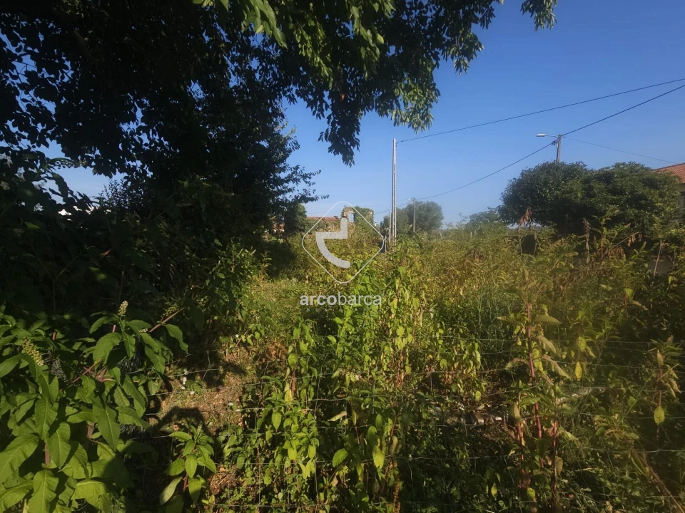 Terreno para Venda em São Julião e Silva Foto 14