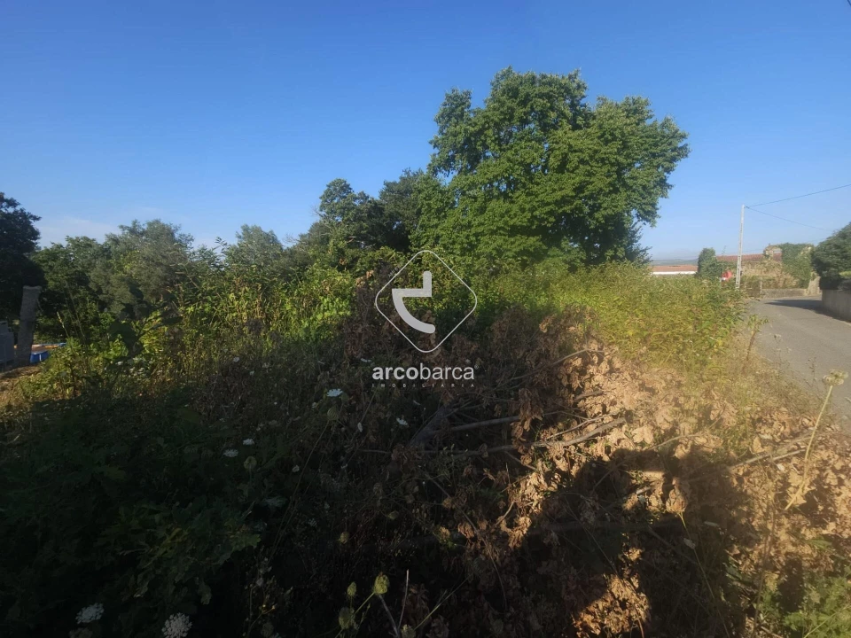 Terreno para Venda em São Julião e Silva Foto 4