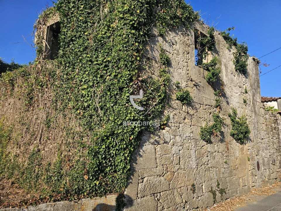 Terreno para Venda em São Julião e Silva Foto 1
