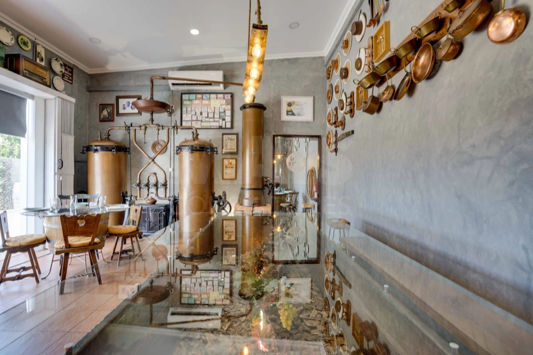 Loja para Venda em Fazendas de Almeirim Foto 7