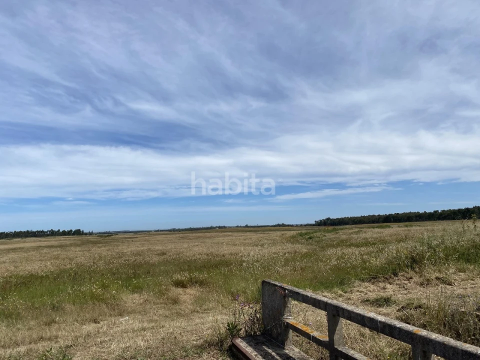 Quinta para Venda em Longueira/Almograve Foto 12