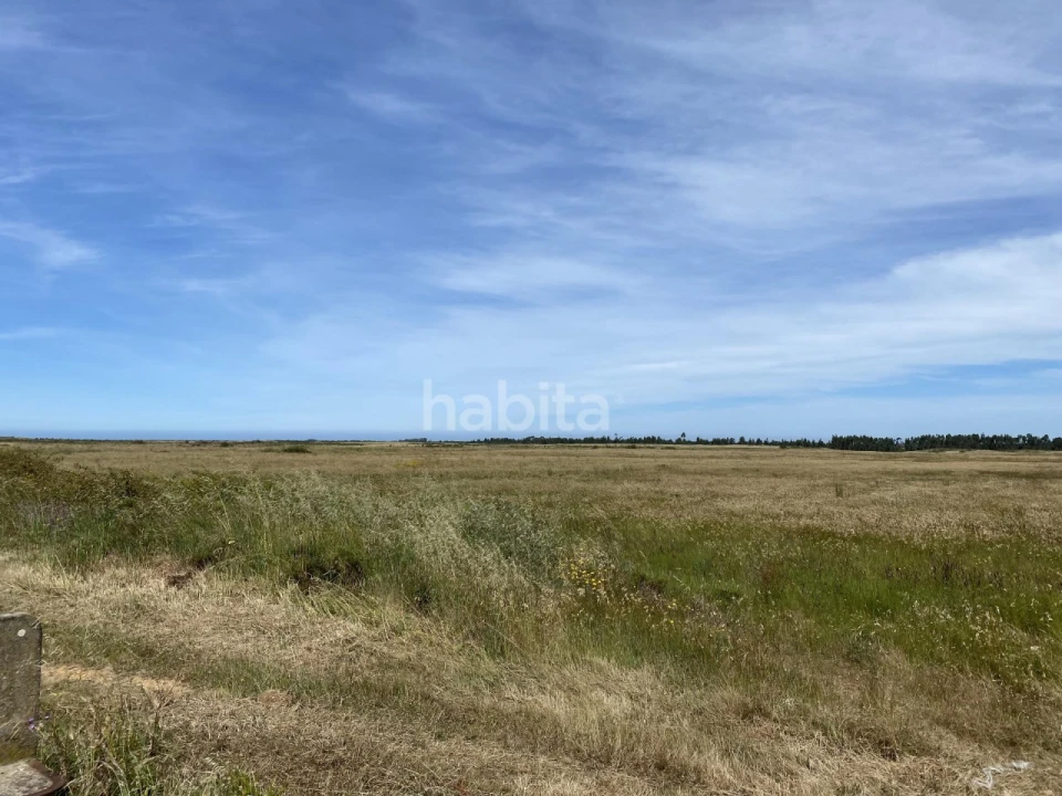 Quinta para Venda em Longueira/Almograve Foto 13