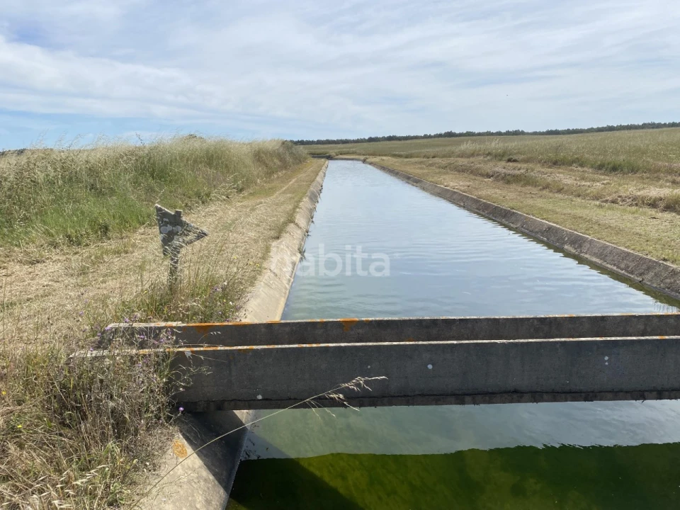 Quinta para Venda em Longueira/Almograve Foto 10