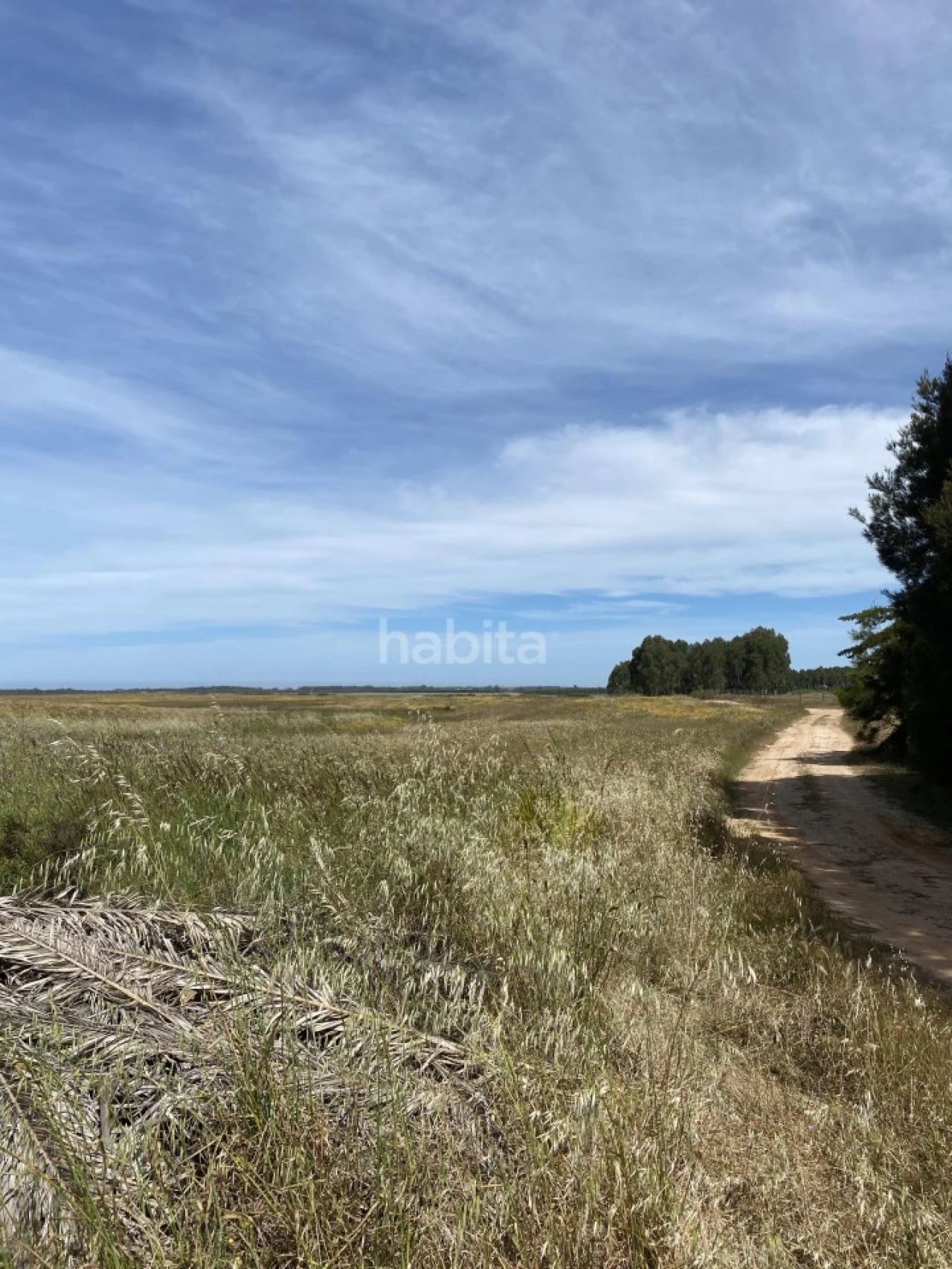 Quinta para Venda em Longueira/Almograve Foto 14