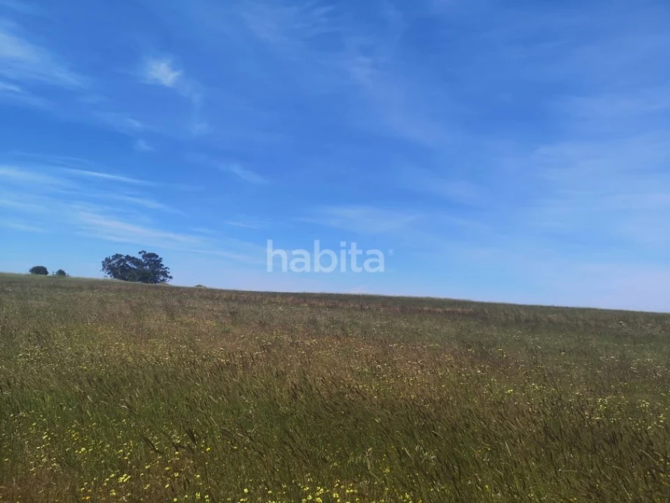 Quinta para Venda em Longueira/Almograve Foto 8