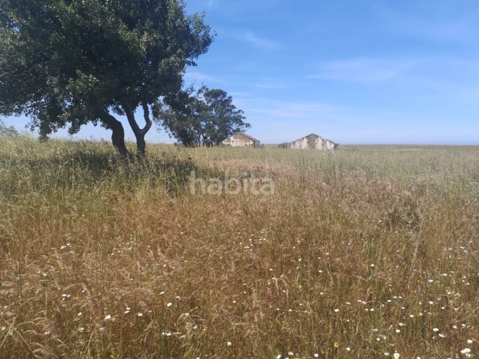 Quinta para Venda em Longueira/Almograve Foto 5