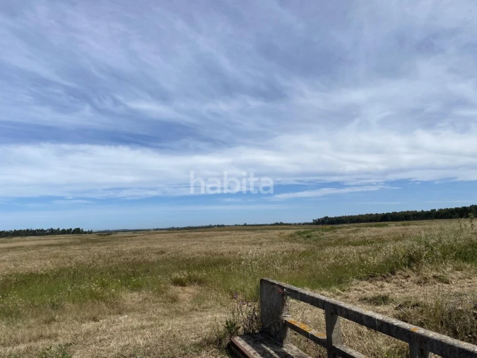 Quinta para Venda em Longueira/Almograve Foto 12