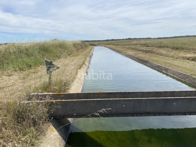 Quinta para Venda em Longueira/Almograve Foto 10