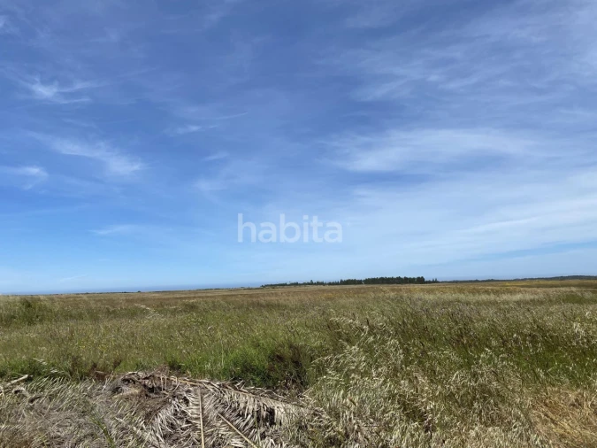 Quinta para Venda em Longueira/Almograve Foto 20