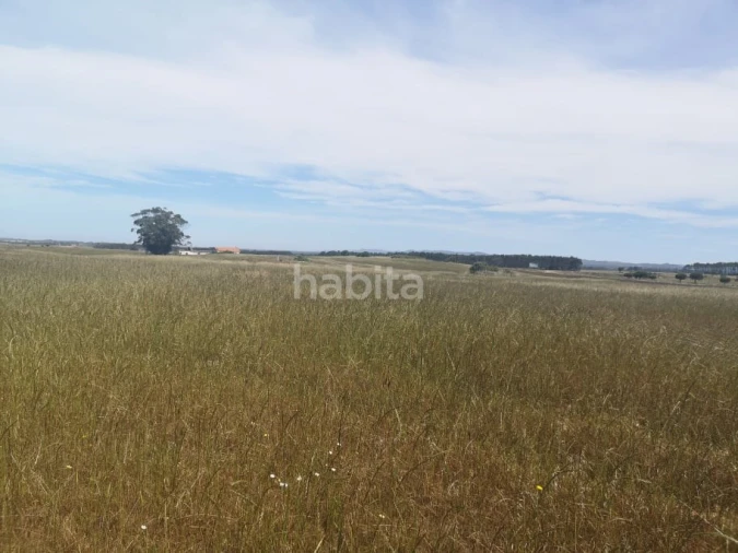 Quinta para Venda em Longueira/Almograve Foto 19