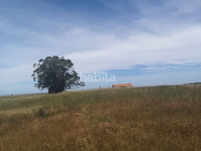 Quinta para Venda em Longueira/Almograve Foto 6