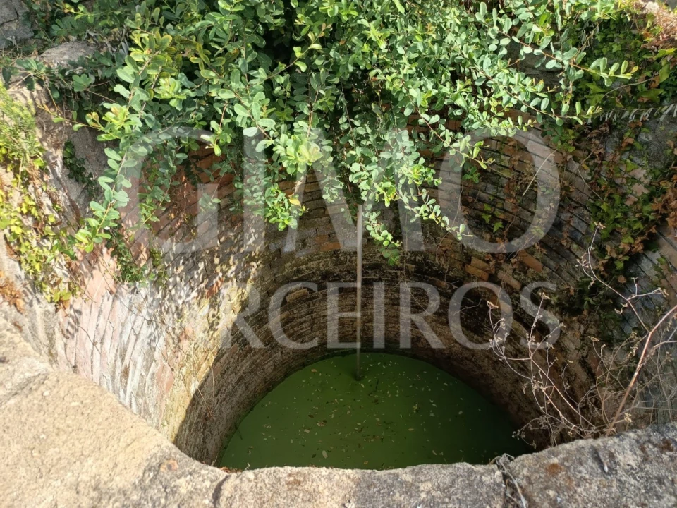 Terreno para Venda em Oiã Foto 8