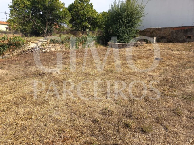 Terreno para Venda em Oiã Foto 4