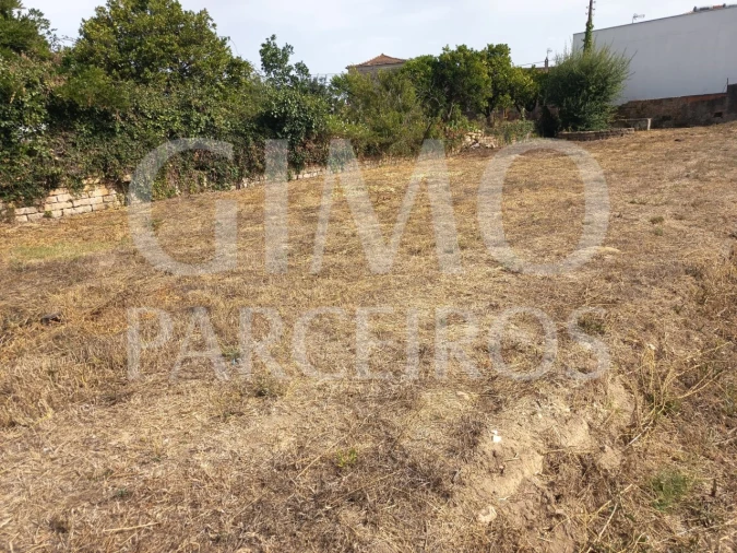 Terreno para Venda em Oiã Foto 6