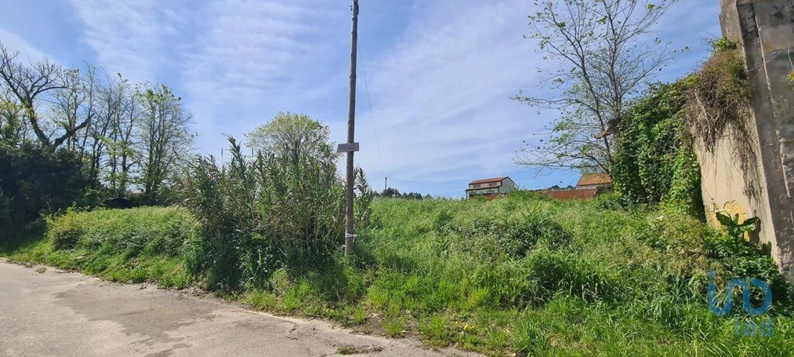 Terreno para Venda em Santo Andre de Vagos Foto 5