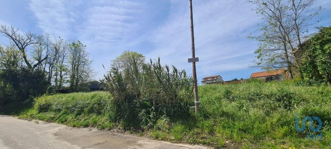 Terreno para Venda em Santo Andre de Vagos Foto 4