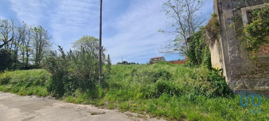 Terreno para Venda em Santo Andre de Vagos Foto 9